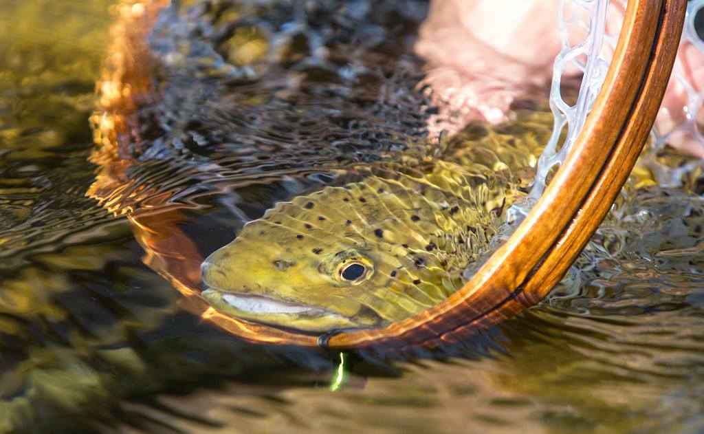 FISHING IN THE GIMÅN RIVER – Gimårasten – Cafe – Restaurant and